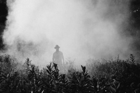 Roundup Exposure and the Battle for Justice, Part 2: The Battle Continues Image